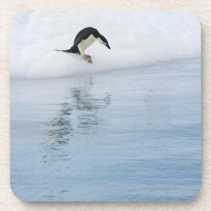 Porta-copo Pinguim de Gentoo (Pygoscelis papua)