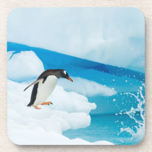 Porta-copo pinguim-de-gentoo, Pygoscelis Papua, saltando