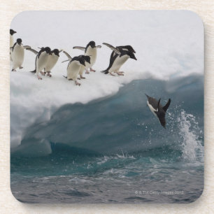 Porta-copo Pinguins de Adelie que mergulham no mar Paulette