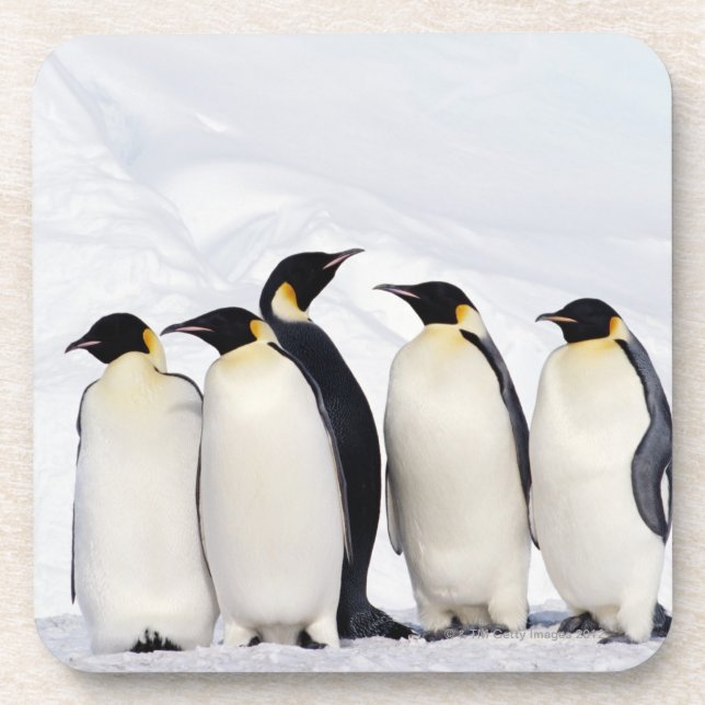 Porta-copo Pinguins de imperador (Frente)