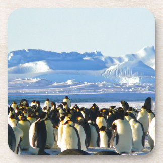 Porta-copo Pinguins imperadores