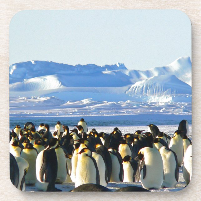 Porta-copo Pinguins imperadores (Frente)