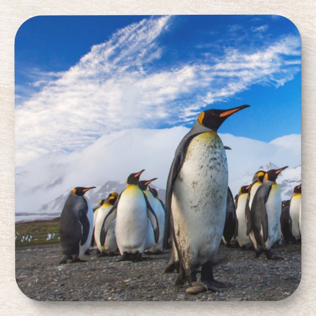 Porta-copo Pinguins Marching Blue Sky (Frente)