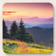 Pinheiros Cênicos Do Sol Querem