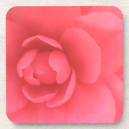 Porta-copo Pink Camellia