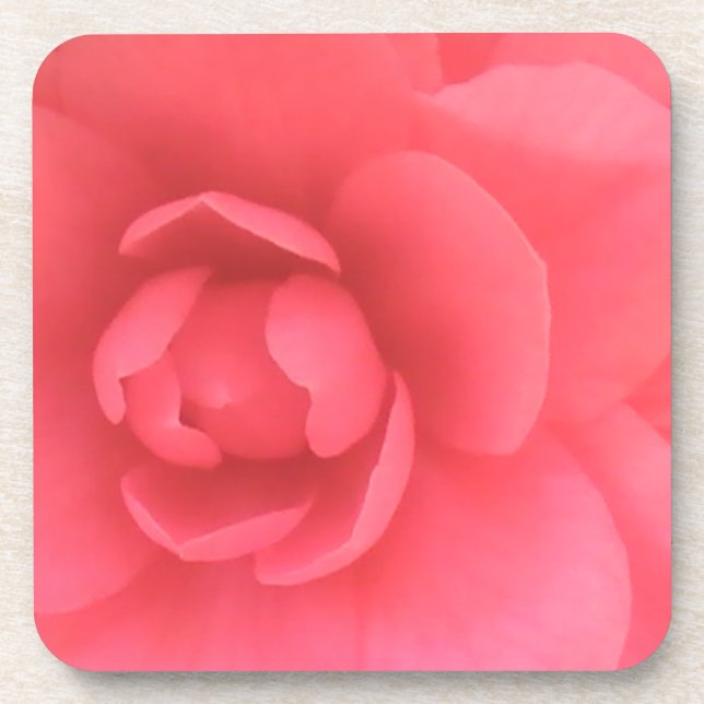 Porta-copo Pink Camellia (Frente)