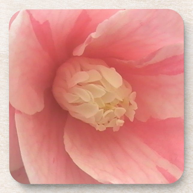 Porta-copo Pink Camellia (Frente)