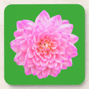 Porta-copo Pink Dahlia Bebida Coaster por Jo Images