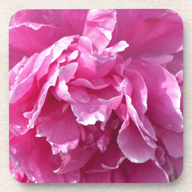Porta-copo Pink Peony (Frente)