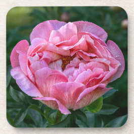 Porta-copo Pink Peony