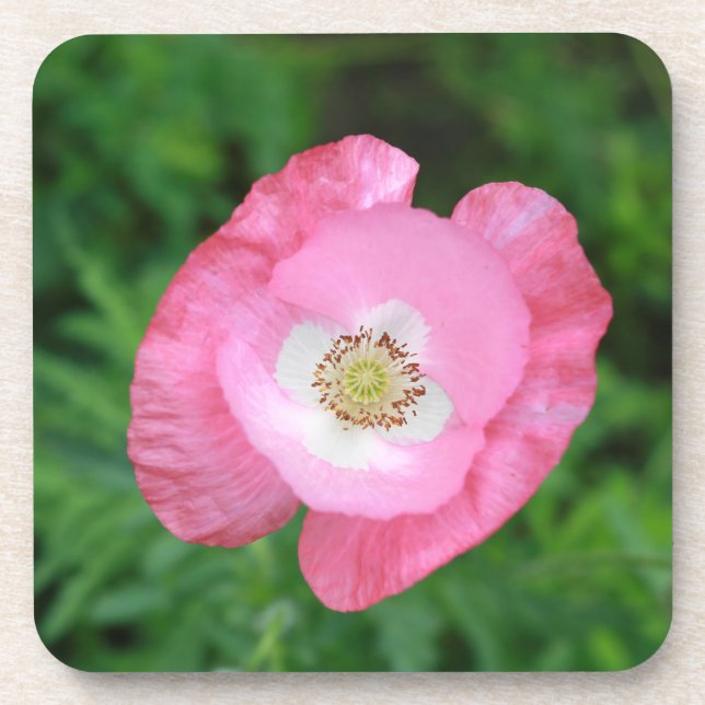 Porta-copo Pink Poppy (Frente)