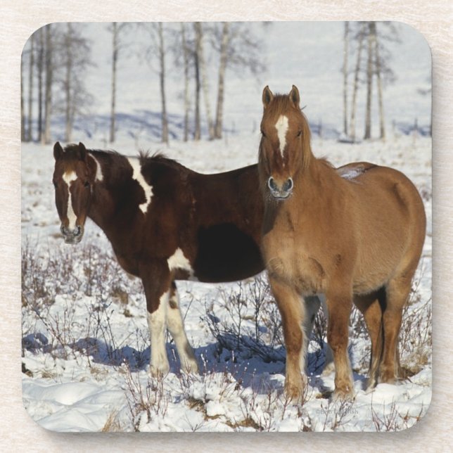 Porta-copo Pinte cavalos na neve (Frente)