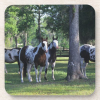 Pinte cavalos nas árvores