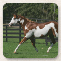 Pinte o cavalo que funciona 1