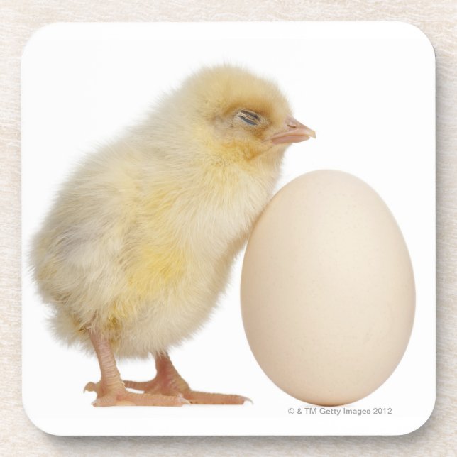 Porta-copo Pintinho com ovo (2 dias velho) (Frente)