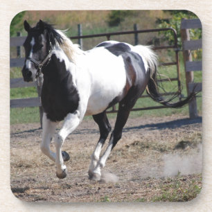 Porta-copo Pinto Paint Horse