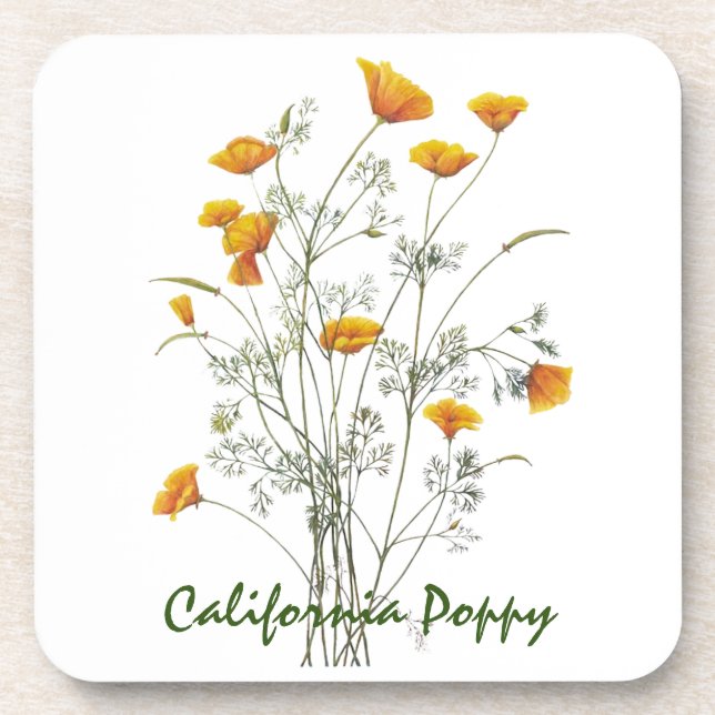 Porta-copo Pintura de Aquarela Verde Amarela California (Frente)