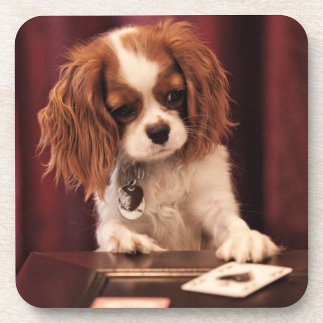Porta-copo Placas Puppy Plays (Frente)