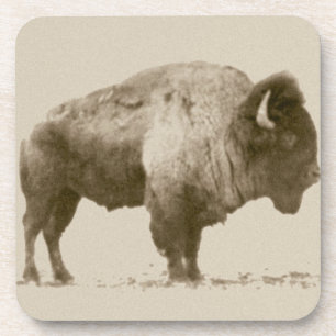 Porta-copo Plains