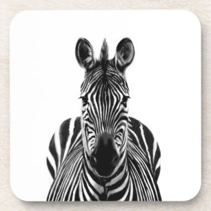 Porta-copo Plano de backup III