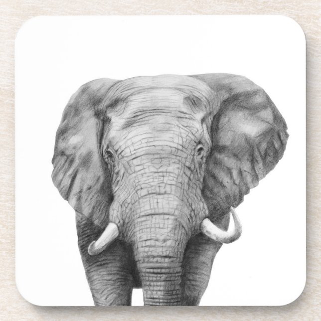 Porta-copo Plano de backup IV (Frente)