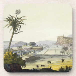 Porta-copo Plantação do açúcar, Antilhas (gravura da cor)