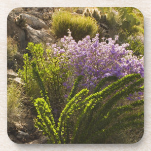 Porta-copo Plantas do deserto de Chihuahuan em flor