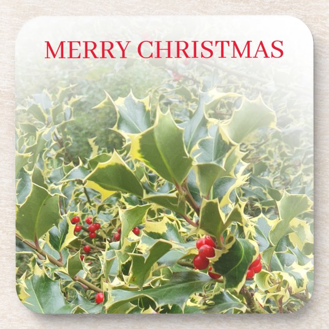 Porta-copo Plantas Holly veem portas copos (Frente)