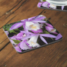 Plione Windowsill Orchids Floral