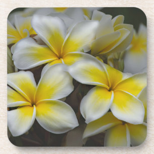 Porta-copo Plumeria Amarela Branca