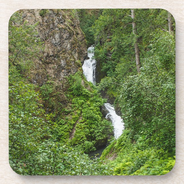 Porta-copo Plush Thunderbird Painterly (Frente)