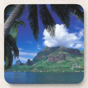 Porta-copo Polinésia Francesa, Moorea. Baía de Cooks. Verde