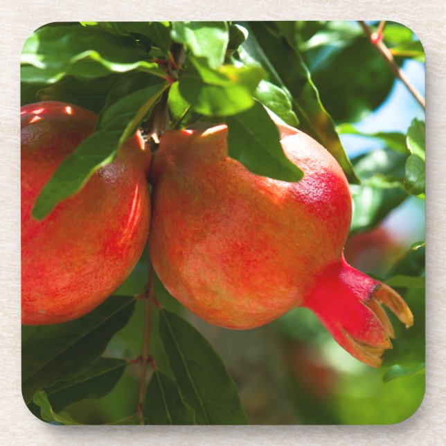 Porta-copo Pomegranato (Frente)