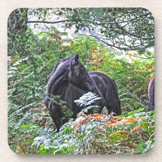 Porta-copo Pônea Nova Floresta Negra e Floresta Reino Unido (Frente)