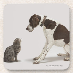 Porta-copo Ponteiro que olha para baixo no gato