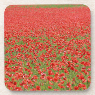 Porta-copo Poppies - milhares!