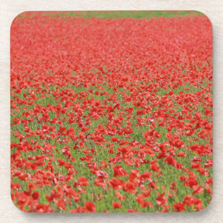 Porta-copo Poppies - milhares!