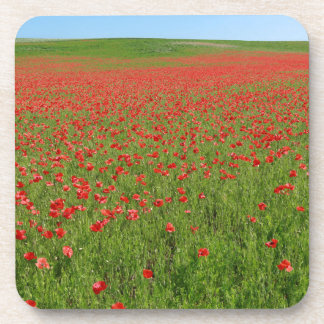 Porta-copo Poppies vivos!