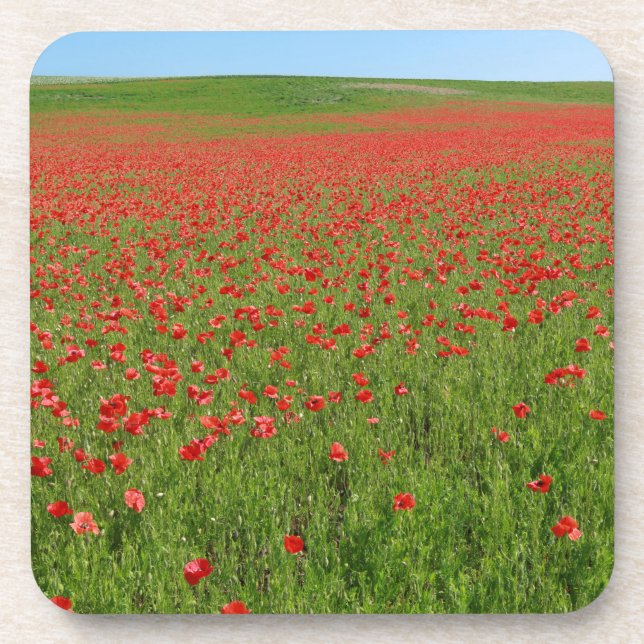 Porta-copo Poppies vivos! (Frente)