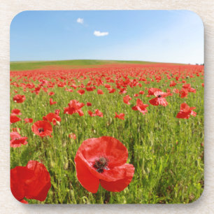 Porta-copo Poppy field - Stunning!
