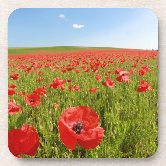 Porta-copo Poppy field - Stunning! (Frente)