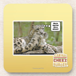 Porta-copo Por que os cães encontram este tão difícil?