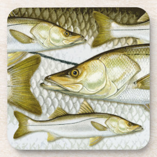 Porta-copo Portas copos comuns de Snook