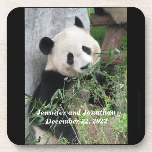 Porta-copo Portas copos, Conjunto de 6, Panda
