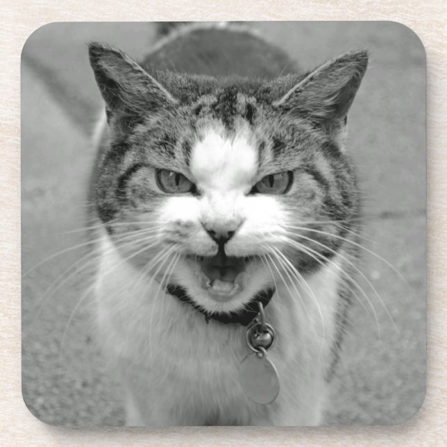 Porta-copo Portas copos Crabby Cat (Frente)