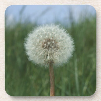 Porta-copo Portas copos Dandelion