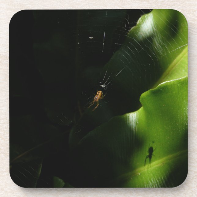 Porta-copo Portas copos de Aranha Pequenas (Frente)