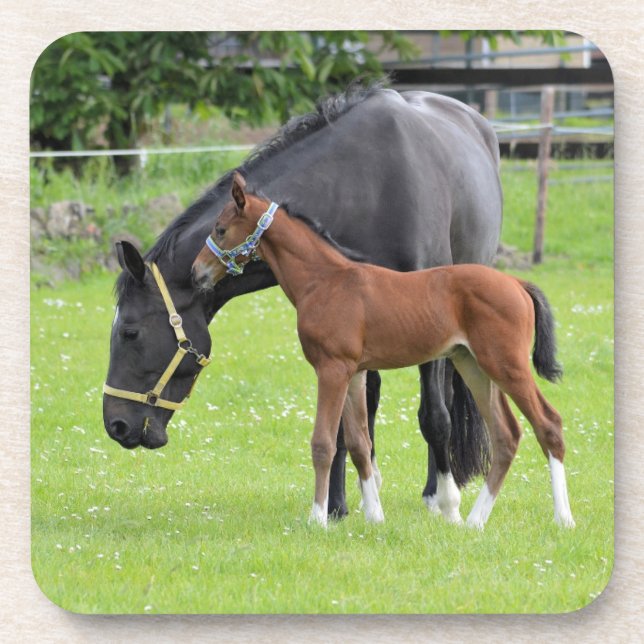 Porta-copo Portas copos de cavalos (Frente)