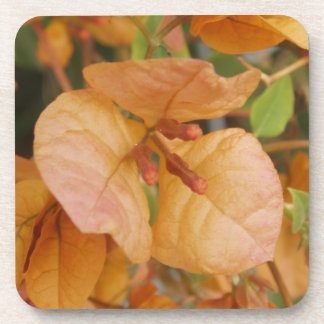 Porta-copo Portas copos de Flor Bougainvillea