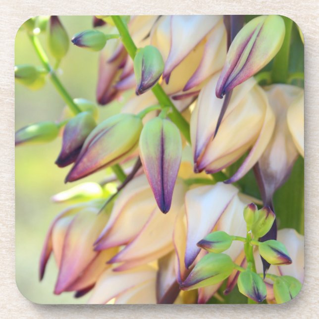 Porta-copo portas copos de flores da yucca (Frente)